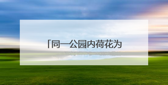 同一公园内荷花为何不同时盛开 业内人士：受多因素影响 属正常现象