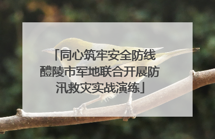 同心筑牢安全防线 醴陵市军地联合开展防汛救灾实战演练