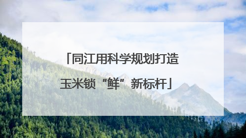 同江用科学规划打造玉米锁“鲜”新标杆