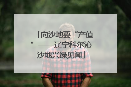 向沙地要“产值”——辽宁科尔沁沙地兴绿见闻