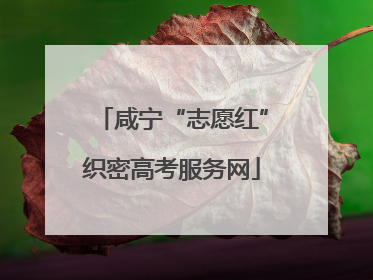 咸宁“志愿红”织密高考服务网