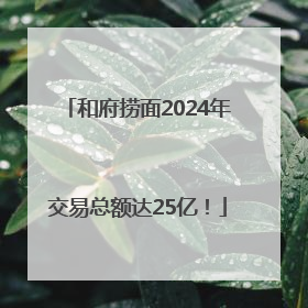 和府捞面2024年交易总额达25亿！