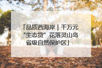 品质西海岸｜千万元“生态贷”花落灵山岛省级自然保护区