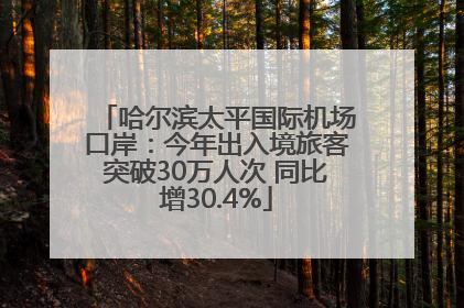 哈尔滨太平国际机场口岸：今年出入境旅客突破30万人次 同比增30.4%