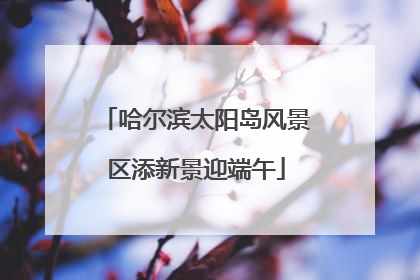 哈尔滨太阳岛风景区添新景迎端午