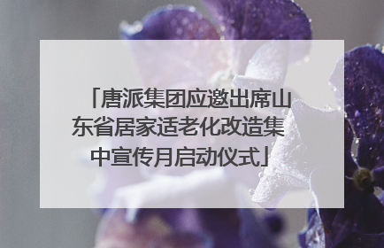 唐派集团应邀出席山东省居家适老化改造集中宣传月启动仪式