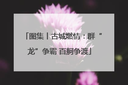 图集丨古城燃情：群“龙”争霸 百舸争渡