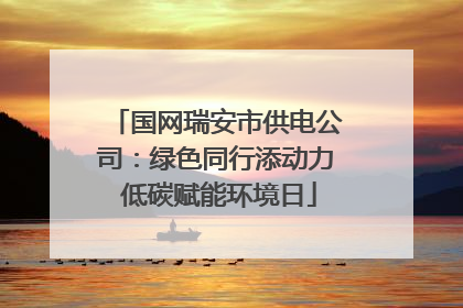 国网瑞安市供电公司：绿色同行添动力 低碳赋能环境日