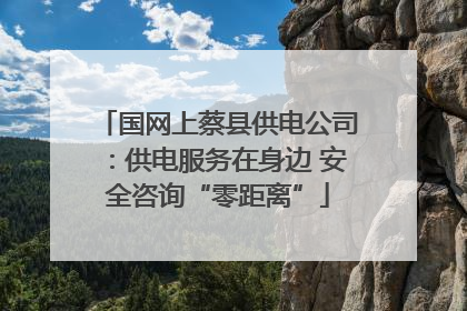 国网上蔡县供电公司：供电服务在身边 安全咨询“零距离”