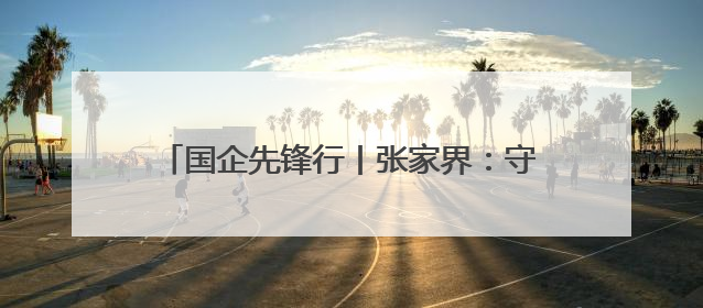 国企先锋行丨张家界：守护平安的那抹“金盾红”
