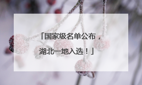 国家级名单公布，湖北一地入选！