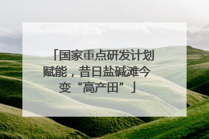 国家重点研发计划赋能，昔日盐碱滩今变“高产田”