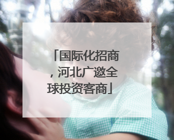 国际化招商，河北广邀全球投资客商
