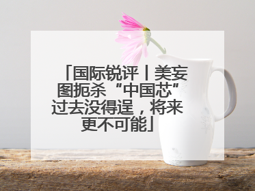 国际锐评丨美妄图扼杀“中国芯”过去没得逞，将来更不可能