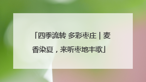 四季流转 多彩枣庄｜麦香染夏，来听枣地丰歌