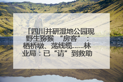 四川井研湿地公园现野生猕猴 “房客”：栖桥墩、荡线缆……林业局：已“请”到救助站，将放归自然