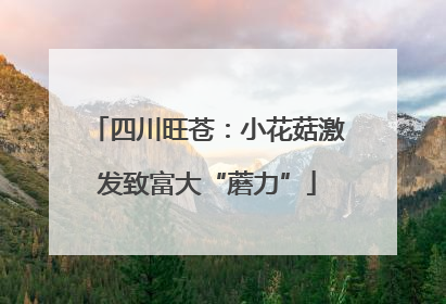四川旺苍：小花菇激发致富大“蘑力”