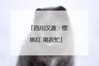 四川汉源：樱桃红 果农忙
