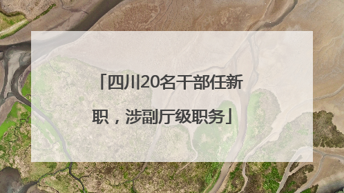 四川20名干部任新职，涉副厅级职务