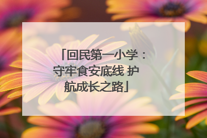 回民第一小学：守牢食安底线 护航成长之路
