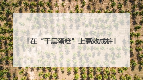 在“千层蛋糕”上高效成桩