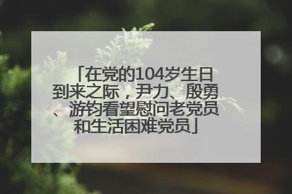 在党的104岁生日到来之际，尹力、殷勇、游钧看望慰问老党员和生活困难党员
