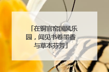 在铜官窑国风乐园，闻见书卷墨香与草本芬芳