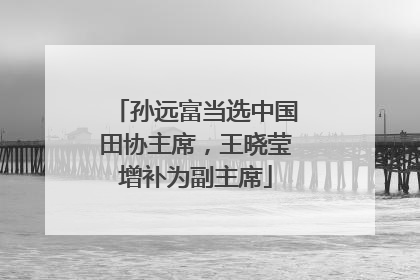 孙远富当选中国田协主席，王晓莹增补为副主席