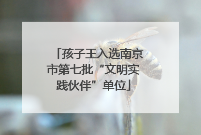 孩子王入选南京市第七批“文明实践伙伴”单位