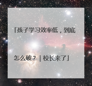孩子学习效率低，到底怎么破？｜校长来了