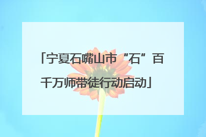 宁夏石嘴山市“石”百千万师带徒行动启动