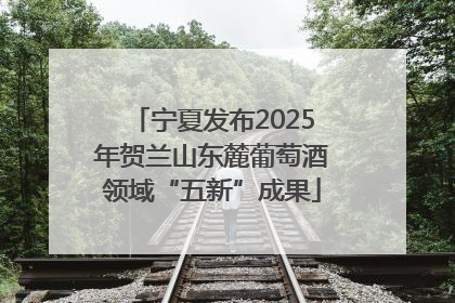 宁夏发布2025年贺兰山东麓葡萄酒领域“五新”成果