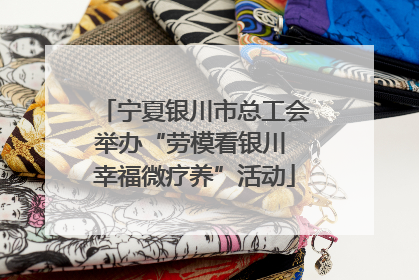 宁夏银川市总工会举办“劳模看银川 幸福微疗养”活动