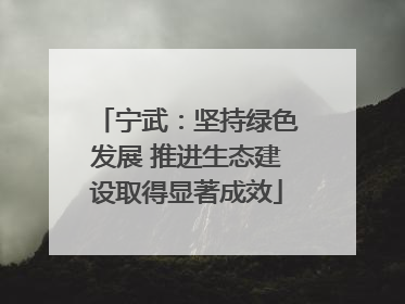 宁武：坚持绿色发展 推进生态建设取得显著成效