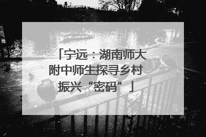 宁远：湖南师大附中师生探寻乡村振兴“密码”