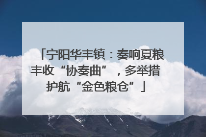 宁阳华丰镇：奏响夏粮丰收“协奏曲”，多举措护航“金色粮仓”