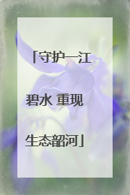 守护一江碧水 重现生态韶河