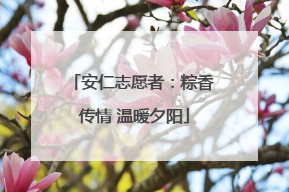 安仁志愿者：粽香传情 温暖夕阳