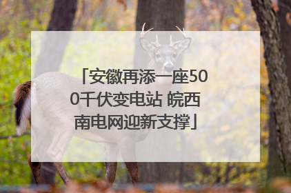 安徽再添一座500千伏变电站 皖西南电网迎新支撑