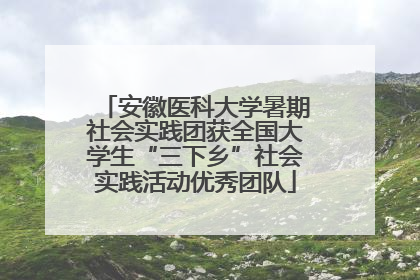 安徽医科大学暑期社会实践团获全国大学生“三下乡”社会实践活动优秀团队