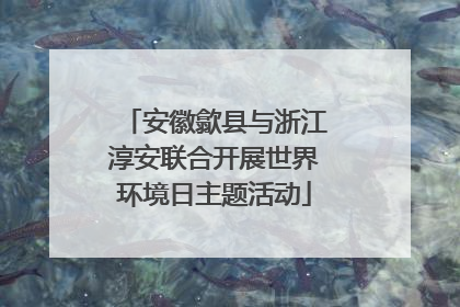安徽歙县与浙江淳安联合开展世界环境日主题活动