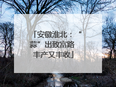 安徽淮北：“蒜”出致富路 丰产又丰收