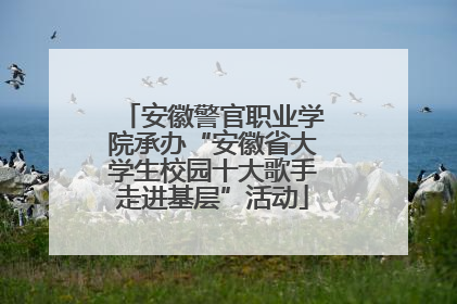 安徽警官职业学院承办“安徽省大学生校园十大歌手走进基层”活动