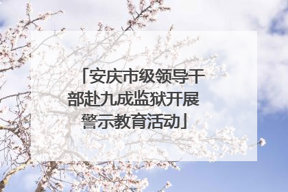 安庆市级领导干部赴九成监狱开展警示教育活动