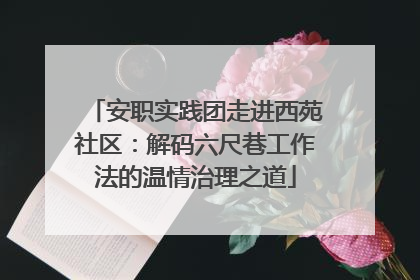 安职实践团走进西苑社区：解码六尺巷工作法的温情治理之道