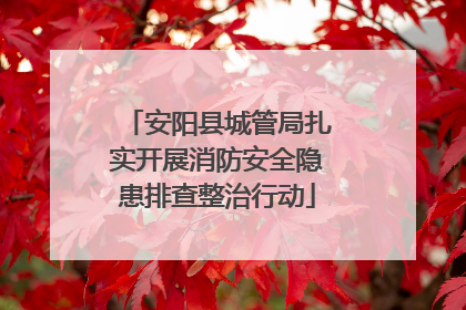 安阳县城管局扎实开展消防安全隐患排查整治行动