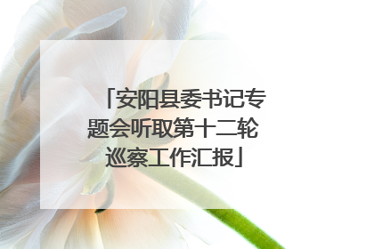 安阳县委书记专题会听取第十二轮巡察工作汇报