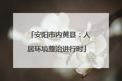 安阳市内黄县：人居环境整治进行时