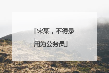 宋某，不得录用为公务员