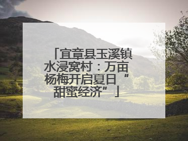 宜章县玉溪镇水浸窝村：万亩杨梅开启夏日“甜蜜经济”